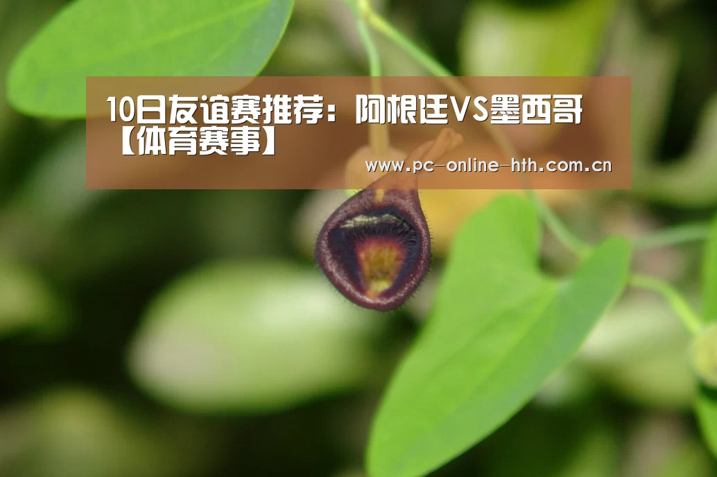 10日友谊赛推荐:阿根廷VS墨西哥【体育赛事】(图3) hth平台