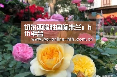 切尔西险胜国际米兰:hth平台(图2) 华体会官网