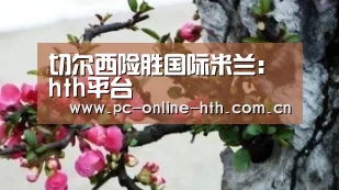 切尔西险胜国际米兰:hth平台(图1) hth平台