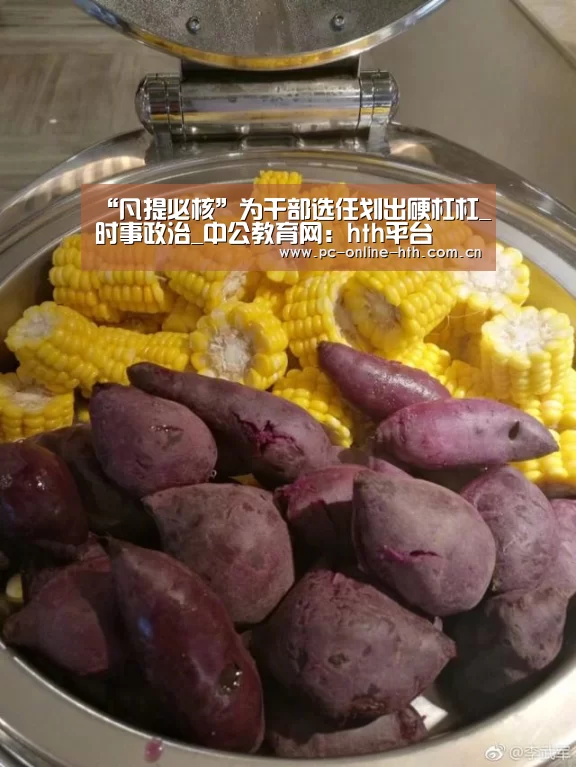 “凡提必核”为干部选任划出硬杠杠_时事政治_中公教育网:hth平台(图2) hth平台